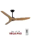vega_p.webp