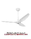 2025-Haiku-15.webp