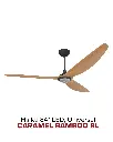 2025-Haiku-23.webp
