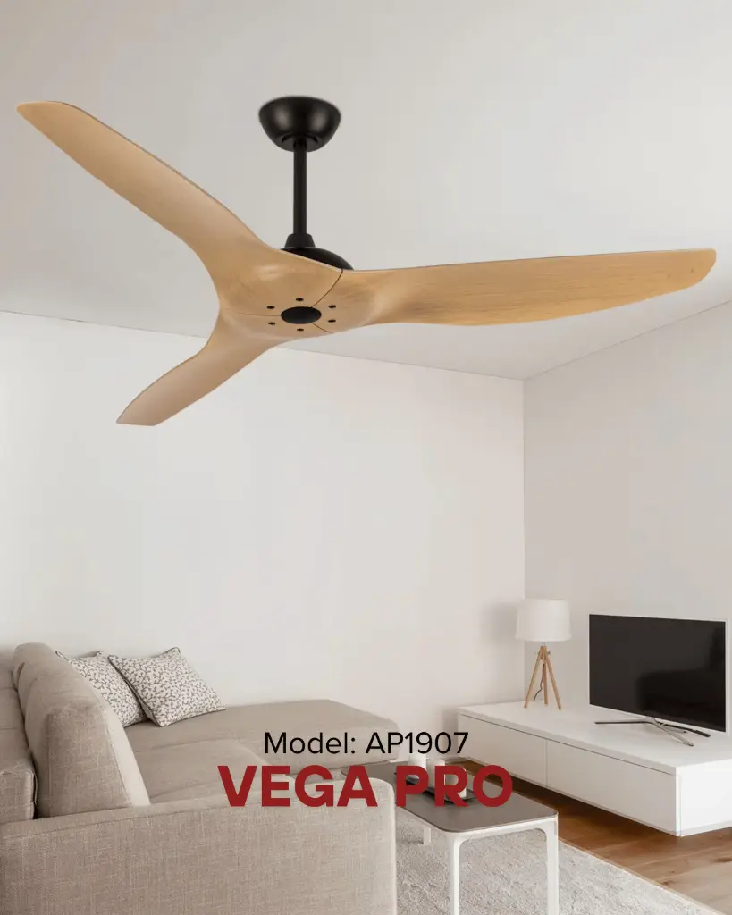 vega_2.webp