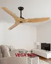 vega_2.webp