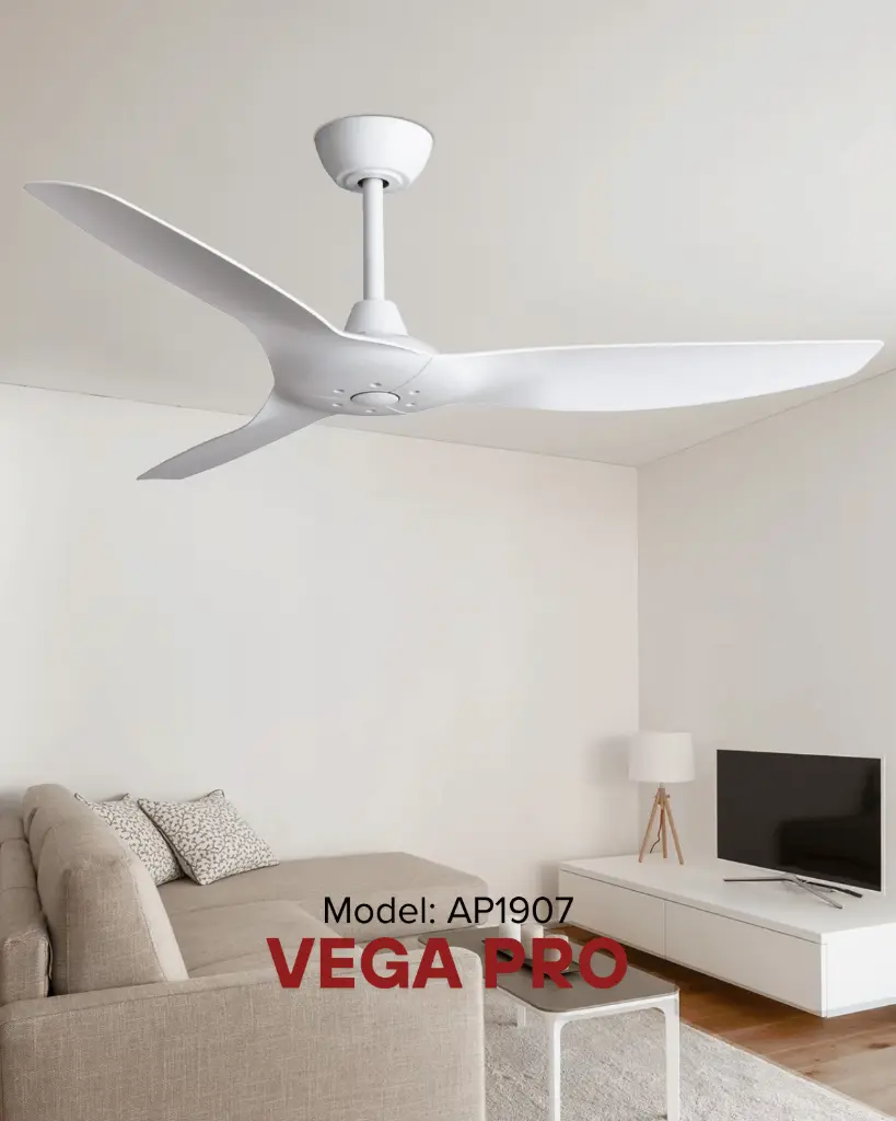 vega_4.webp
