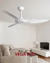 vega_4.webp
