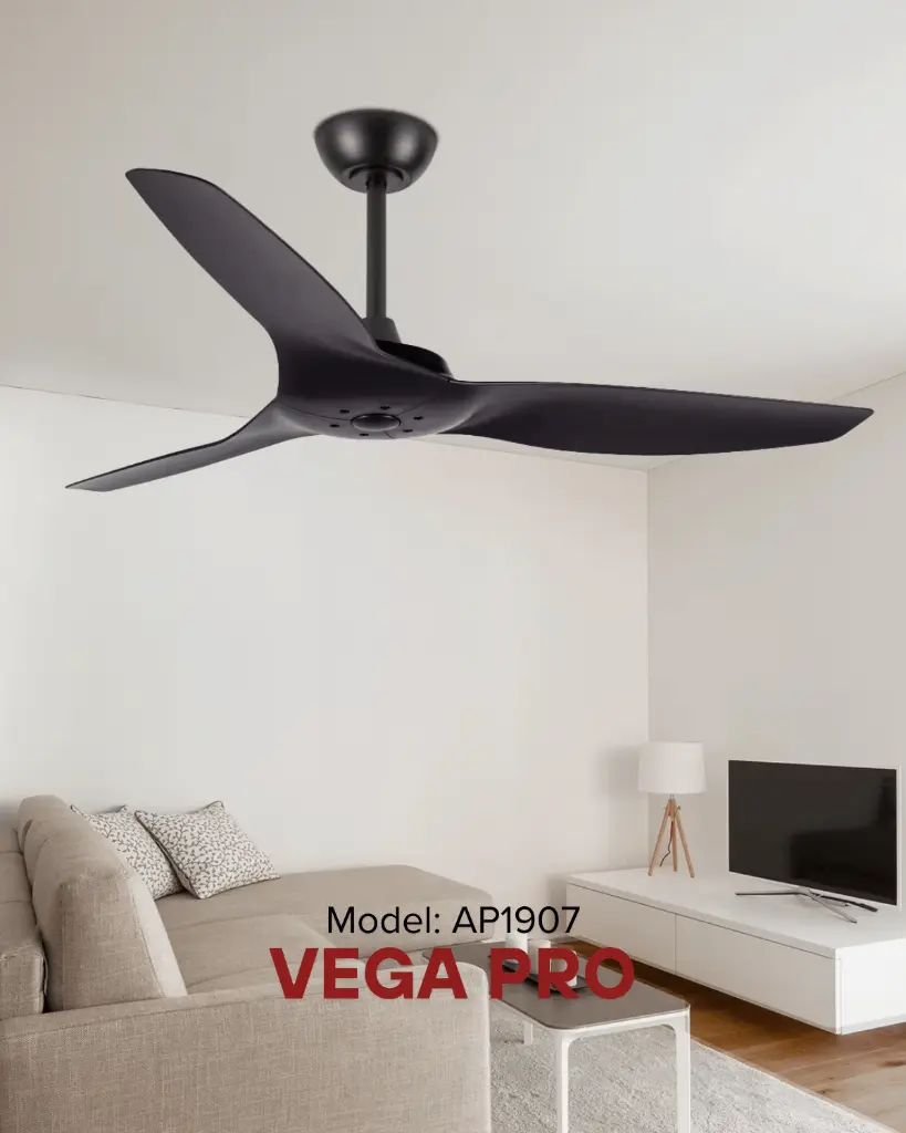 vega_3.webp