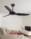 vega_3.webp