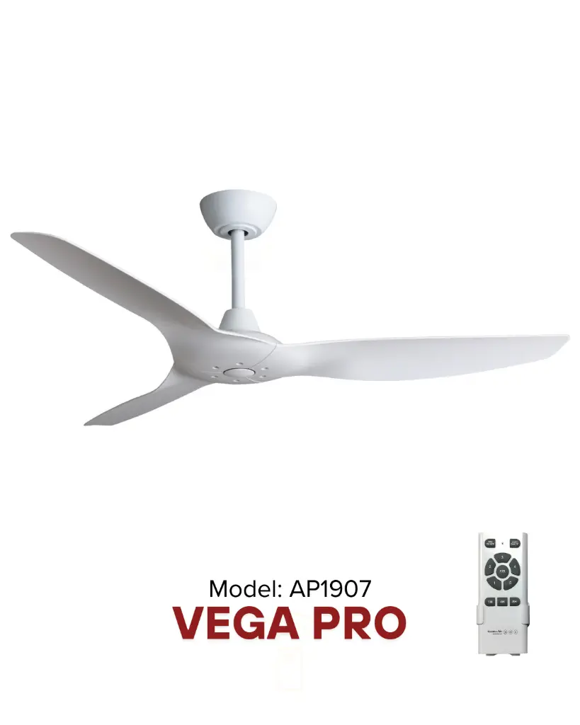 vega_6.webp
